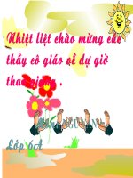 Cau tran thuat don khong co tu la