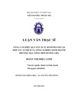 Luận văn thạc sỹ: Nâng cao hiệu quả sản xuất kinh doanh tại Hợp tác xã dịch vụ nông nghiệp, kinh doanh thương mại, tổng hợp Dương Liễu ở Hà Nội