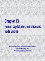 human capital, discrimination and trade unions
