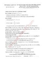 DE THI TN MON TOAN 2013