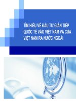 báo cáo môn tài chính quốc tế tìm hiểu về đầu tư gián tiếp quốc tế vào việt nam và của việt nam ra nước ngoài