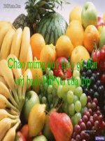 HDNGLL TIẾN BƯỚC LÊN ĐOÀN