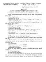 BÁO CÁO TỔNG KẾT CÁC LĨNH VỰC GDTH 2012 - 2013