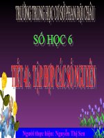 Tiết 41 -Tập hợp các số nguyên