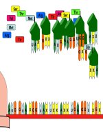 so do tong hop Protein