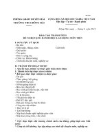 MẪU BÁO CÁO THÀNH TÍCH MỚI