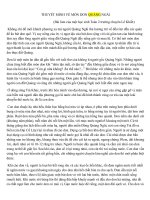 THUYẾT MINH MÓN DON QUẢNG NGÃI