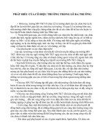 phát biểu của hiệu trưởng trong lễ ra trường cho trẻ 5 tuổi