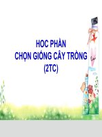 GIỐNG CÂY TRỒNG