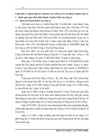 định hướng phát triển và một số giải pháp thực hiện kế hoạch đề ra của công ty cổ phần sông đà 11