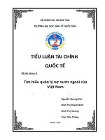 tiểu luận tài chính quốc tế tìm hiểu quản lý nợ nước ngoài của việt nam