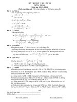 DE THI THU TOAN VAO 10 TP HCM