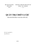 Quá trình hình thành và lựa chọn chiến lược