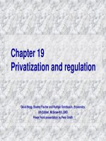 privatization and regulation