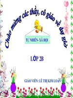 một số loài cây sống dưới nước