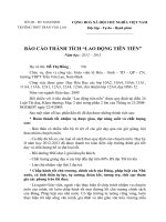 Báo cáo thành tich LĐTT 2013