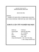 Nghiên cứu khả năng cố định kim loại nặng của than sinh học trên đất bạc màu trồng rau