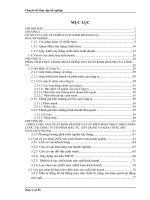 chiến lược sản xuất kinh doanh của công ty cổ phần đầu tư, xây dựng và khai thác mỏ vinavico incom