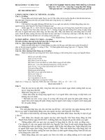 Gợi ý môn Văn TNTHPT 2013