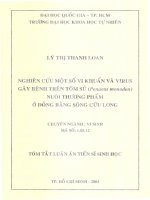 luận án tiến sỹ  nghiên cứu một số vi khuẩn và virus gây bệnh trên tôm sú nuôi thương thẩm ở đồng bằng sông cửu long
