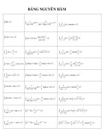 Cac cong thuc tinh nguyen ham tich phan