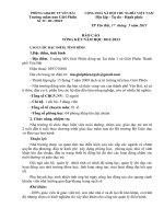 BÁO CÁO TỔNG KẾT NĂM HỌC 2012-2013