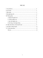 sanh kien kinh nghiem dat giai cap huyen truong TH chu van an