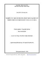 Nghiên cứu một số phương pháp nhân tạo để lây nhiễm virus gây bệnh xoăn vàng lá cà chua
