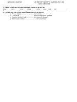 de thi thu vao lop 10 tu luan