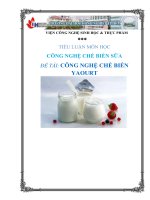 Tiểu luận công nghệ chế biến sữa công nghệ chế biến yaourt