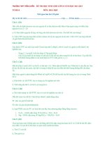 đề thi học sinh giỏi hoá lớp 19