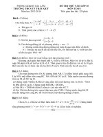 DE THI THU+ DAP AN MON TOAN VAO LOP 10