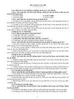 Câu hỏi tìm hiểu Luật phòng, chống bạo lực gia đình