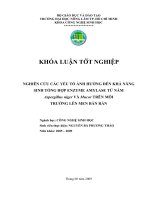 NGHIÊN cứu các yếu tố ẢNH HƯỞNG đến KHẢ NĂNG SINH TỔNG hợp ENZYME AMYLASE từ nấm aspergillus niger và mucor TRÊN môi TRƯỜNG lên MEN bán rắn