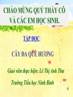 Tập đọc: Cây đa quê hương