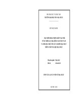Đặc điểm hoạt động kiến tạo trẻ vùng thềm lục địa Đông Nam Việt Nam và mối quan hệ với các tai biến địa chất trên cơ sở tài liệu địa chấn