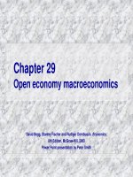 open economy macroeconomics