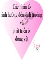 Bai giang Bài 38: Ảnh hưởng của các nhân tố đến sinh trưởng và phát triển của động vật