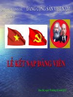 kêt nạp đảng
