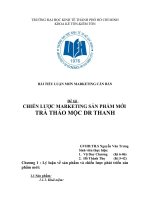 chiến lược marketing sản phẩm mới trà thảo mộc dr thanh