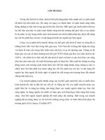 Tiểu luận môn Quản trị chiến lược VẬN DỤNG LÝ THUYẾT NĂNG LỰC LÕI, TAY NGHỀ CHUYÊN MÔN, TAY NGHỀ TÌM ẨN VÀ NĂNG LỰC ĐỘNG VÀO HOẠT ĐỘNG QUẢN LÝ CỦA CÔNG TY CỔ PHẦN FPT