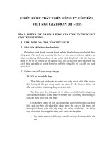 chiến lược phát triển công ty cổ phần việt ngư giai đoạn 2011- 2015