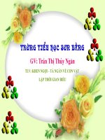 TLV: khen ngoi- ta ngan ve con vat