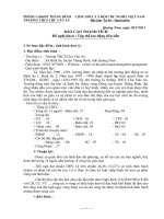 báo cáo thành tích trường 2013