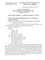 Báo cáo thành tích tổ khối khen LĐTT