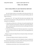 BAO CAO HOAT DONG BAN THANH TRA