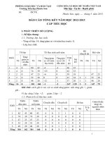 bao cao tong ket 2013