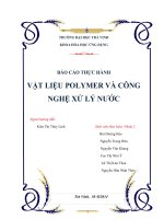 VẬT LIỆU POLYMER VÀ CÔNG NGHỆ XỬ LÝ NƯỚC