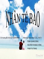NHAN TE BAO