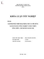 giải pháp phát triển hoạt động cho vay tiêu dùng tại ngân hàng nông nghiệp và phát triển nông thôn - chi nhánh nam hà nội